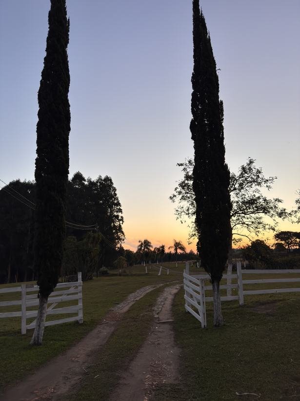A entrada do Espaço Roda d'Água ao amanhecer, entre ciprestes